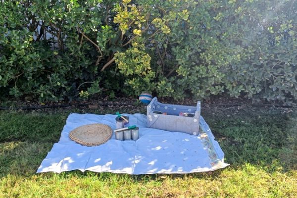 IMG20240221133221 IMG20240221133221